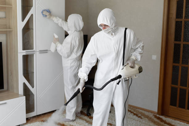 Best Attic Mold Removal  in Butler, NJ