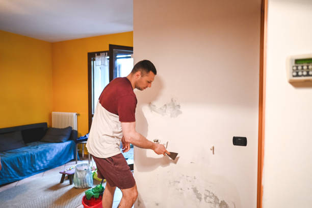 Best Crawl Space Mold Removal  in Butler, NJ